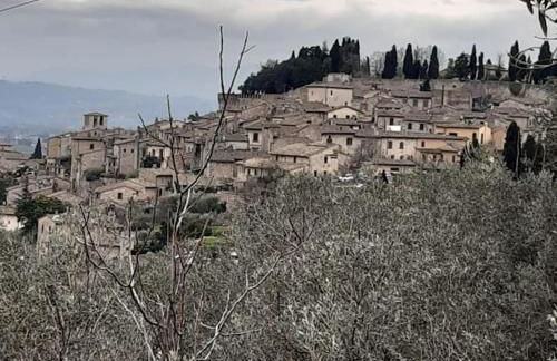 La casa di MonAmì - Foto 32