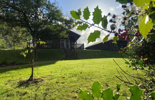Hollybush Lodges - Foto 68