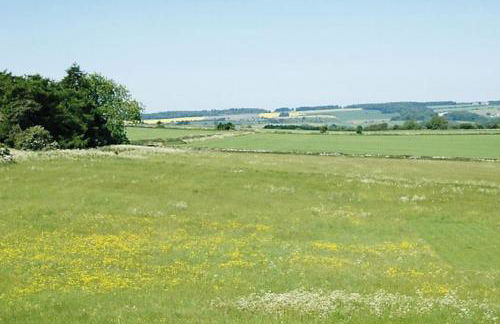 Clematis cottage - Photo 16