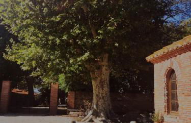 Mas Sant Jordi - Foto 4