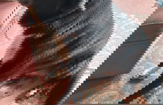 Kinross Metcalfe Farm - Foto 16