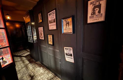 LA CHAMBRE DES SECRETS, Magique, Hyper-centre, 9 Couchages - Foto 43