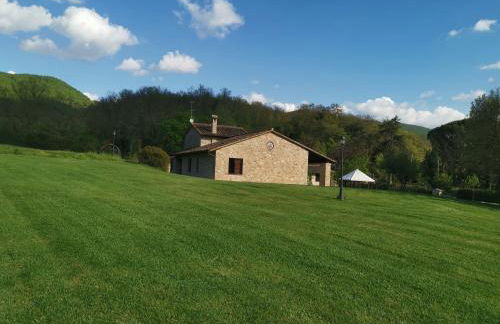 Il Vignale - Foto 34