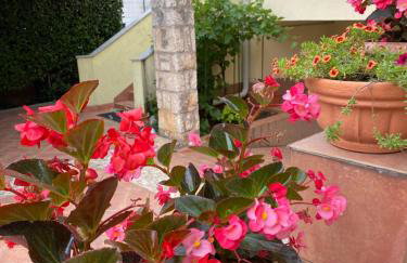 Apartments Maris - Foto 10