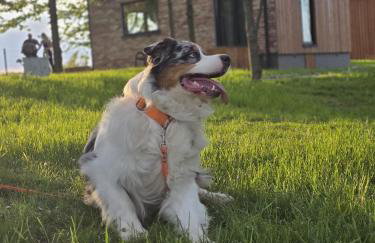 Grudza83 Bikepoint - Foto 80