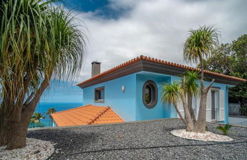 Villa Loureiro Palace With Soccer Field - Foto 40