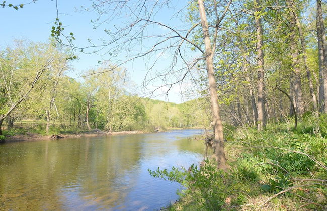 Chesnutt Cabin on the Cacapon River - Foto 39