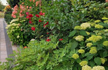 Noclegi Dobrzeń Wielki - Foto 22