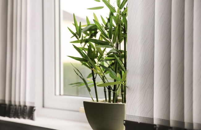 Haywood House - Foto 6