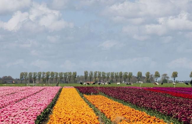 Comfy Lodge with Microwave near Markermeer - Foto 37