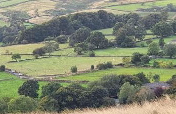 Curlew Cottage Eldwick peaceful location where you can watch the horses - Foto 18