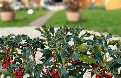 Holiday Home Forest INN - Foto 55