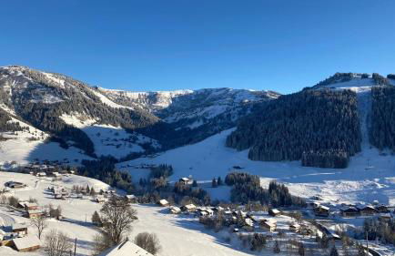 Demi Chalet Le LACHAT - Photo 32