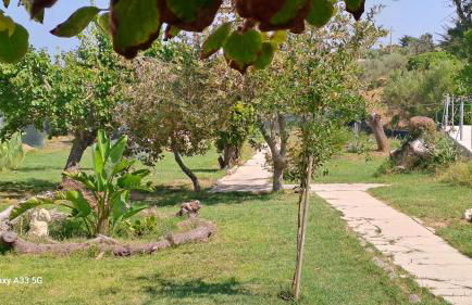 Villa Andres - Foto 39