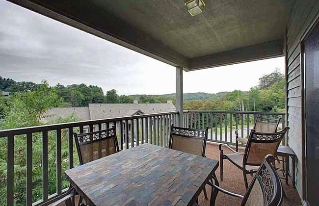 Chetola Premier Condominiums - Photo 60