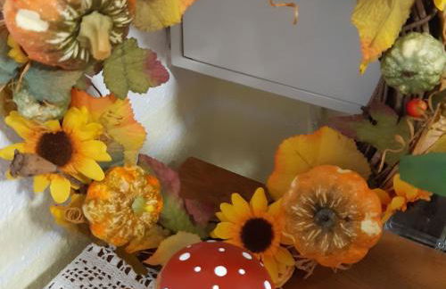 Ferienwohnungen Landleben - Foto 9