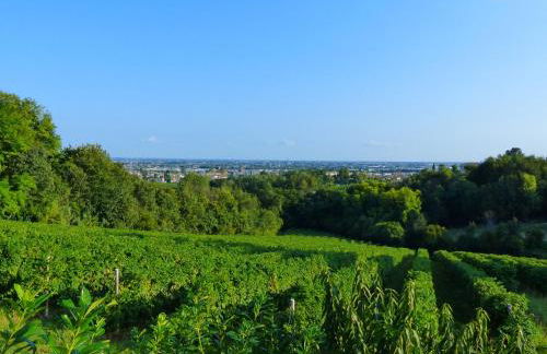 Podere di Costabella - Foto 16