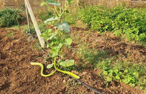 A un Passo dal Tramonto - Foto 27