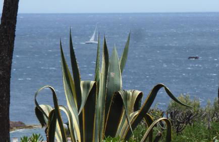 Bastidon Vue Mer - Foto 19