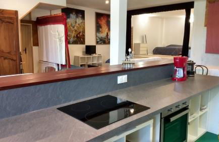 Logement spacieux et original proche gare au RDC - Foto 6