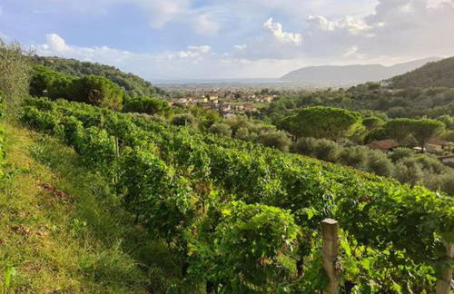 Agriturismo La Carreccia - Foto 30