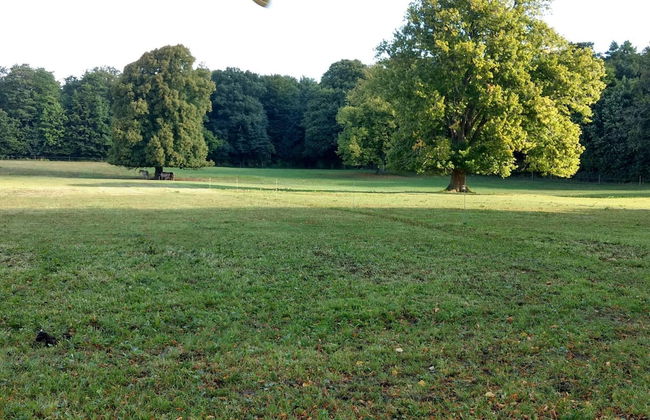 Seaside Charm in Boged-by Traum - Foto 8