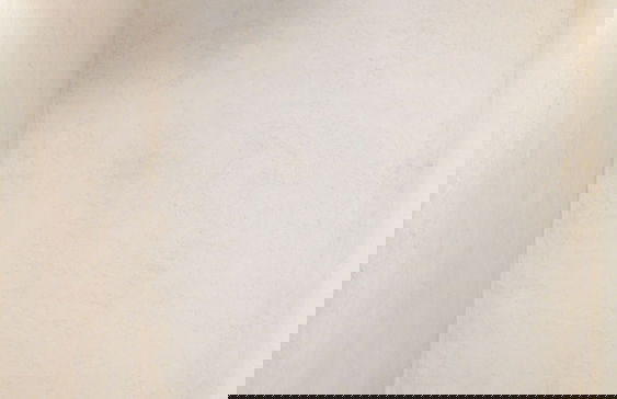 D Palm Premium Living - Foto 57