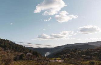 Quinta da Moita Agroturismo - Foto 112