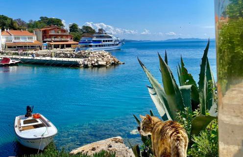 Gajeta Residence Božava - Foto 43