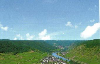 Moselwinzerhaus - Foto 14