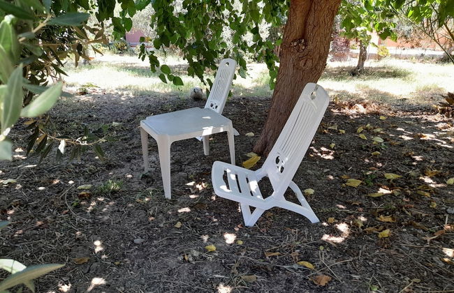 Margherita's Nest by the sea With Birds Song - Foto 25