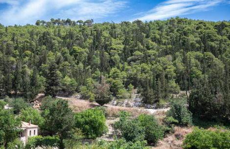 Gioia Traditional House - Photo 56