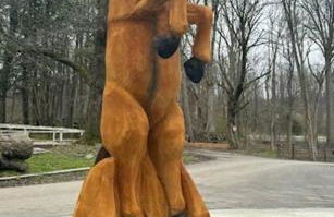 The House Hotels - Acadia Farms - Foto 52