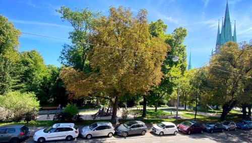 Quiet & Park View - Ulm Mitte - Foto 2