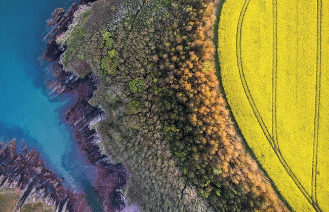 Caradog - 1 Bedroom - St Ishmael's - Foto 44