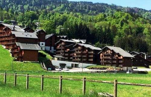 Studio in Morillon village, mountain view - Foto 43