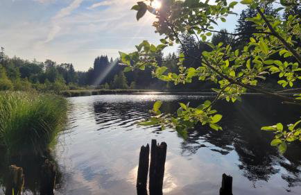 Apartment Lindenberg FEWO - Foto 10