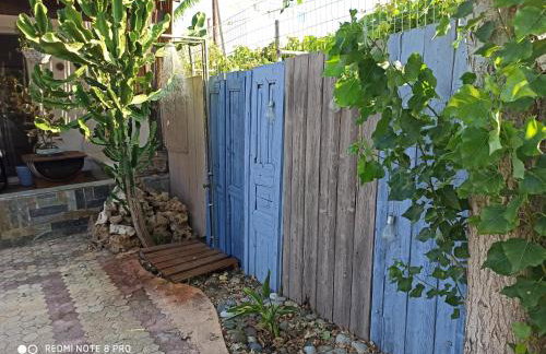 Cactus Home - Foto 30