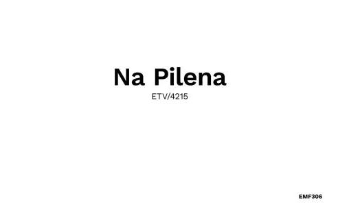 Na Pilena - Photo 43