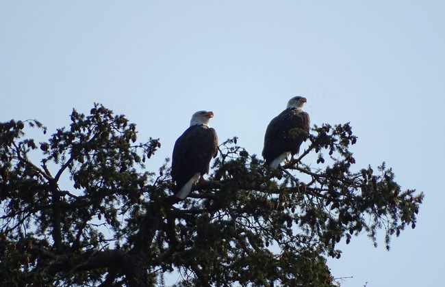 Suite at Trails End Beach House - Photo 38