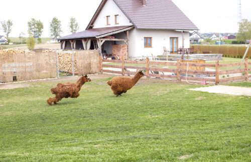 Agroturystyka Kaszuby Villagehome - Foto 72