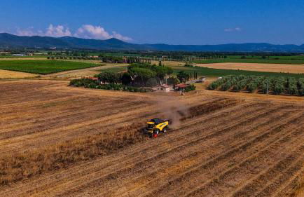 Agriturismo I Debbi - Foto 9