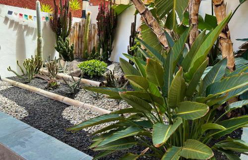 Roque-House - Foto 37