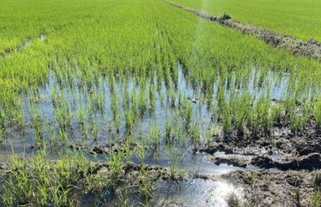 COZY PLACE 10 - Foto 35