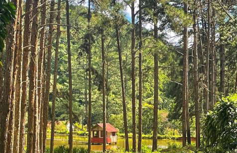 Hotel Fazenda Rancho Mineiro - Foto 75