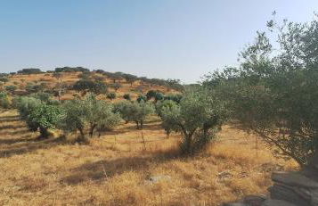 ALDEIA DOS ORVALHOS - VILLAGE By MAYORAL - Foto 36