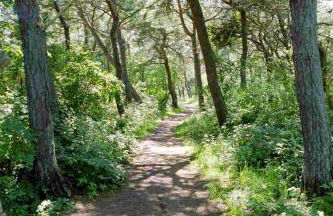 Ferienhaus Mine Sehnsucht - Foto 20