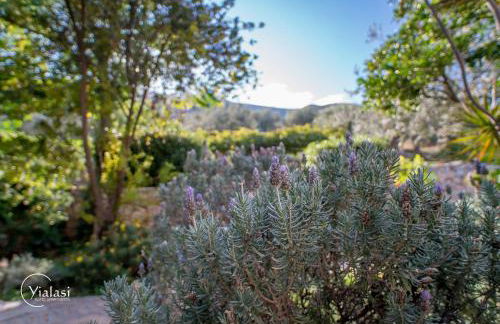 Yialasi Hotel - Foto 79