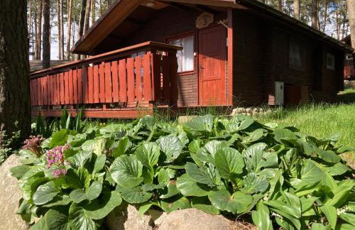 Ośrodek Wypoczynkowy Lubie nad jeziorem - Foto 6