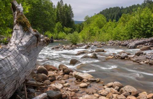 Rapid River Retreat - Meredith Lodging - Foto 68